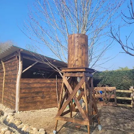 Kamp alanı Oatman *